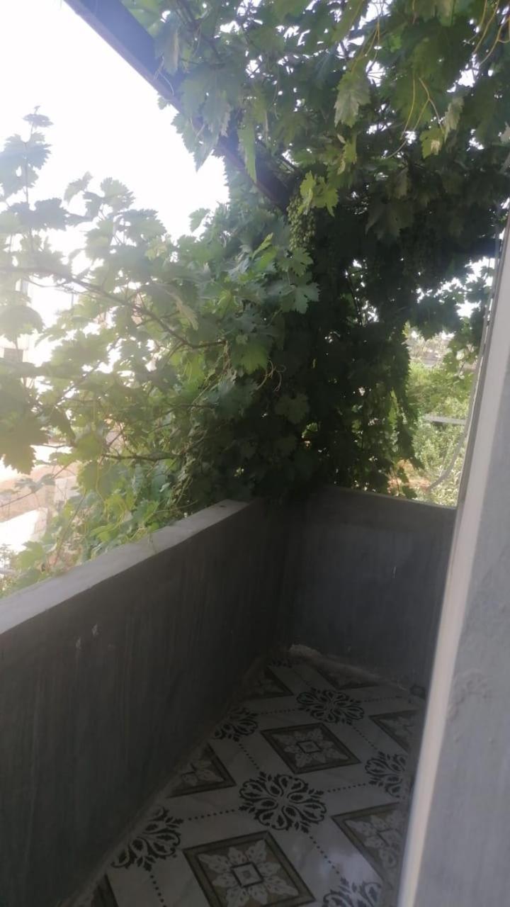דירות Ibbin الاردن عجلون رأس منيف מראה חיצוני תמונה